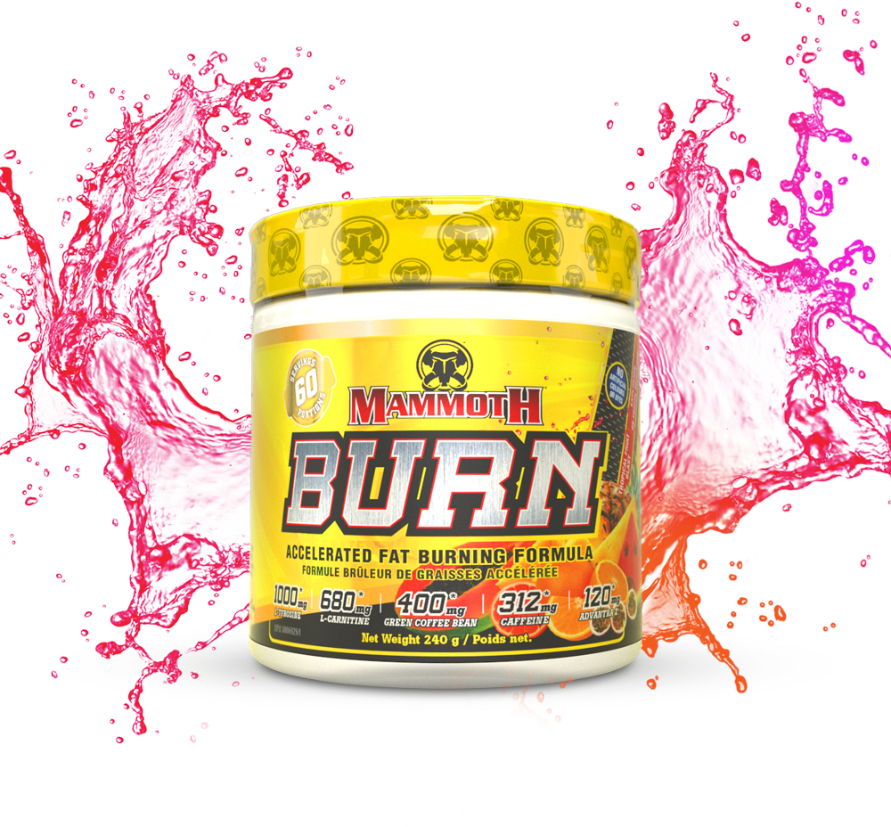 Mammoth Burn – Thermogenic Fat Burner