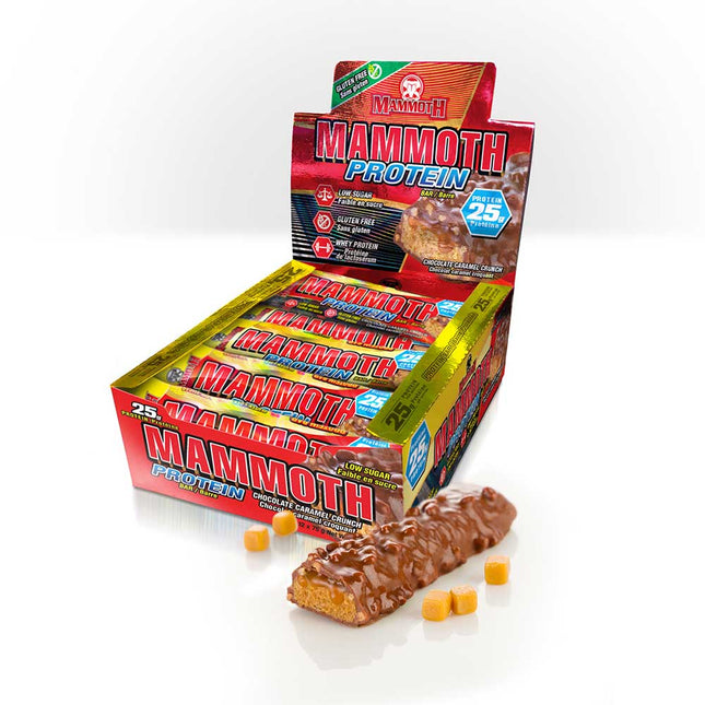 Mammoth Bar – Organic Protein Snack Bar - Box of 12