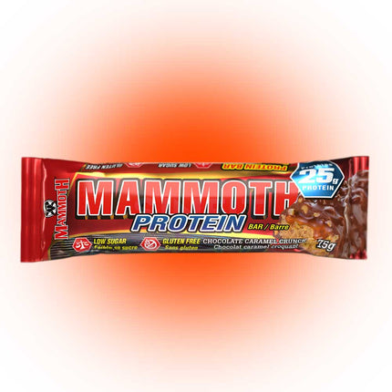 Mammoth Bar – Organic Protein Snack Bar - Box of 12